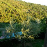 Farm Holidays La Baghera - La Baghera Alta - Donatello Apartment - Master Bedroom Outside View