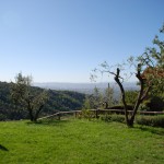Farm Holidays La Baghera - La Baghera Alta - Donatello Apartment - Living Room