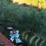 Farm Holidays La Baghera - La Baghera Alta - Barbecue