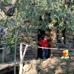Farm Holidays La Baghera - La Baghera Alta - Playground