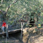 Farm Holidays La Baghera - La Baghera Alta - Playground