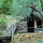Farm Holidays La Baghera - La Baghera Alta - Playground