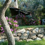 Farm Holidays La Baghera - La Baghera - Barbecue and Swimming Pool