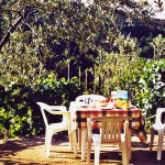 Farm Holidays La Baghera - La Baghera - Gorgole Apartment - Garden