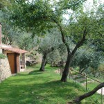 Farm Holidays La Baghera - La Baghera Alta - Swimming Pool