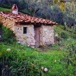 Farm Holidays La Baghera - La Baghera - Cot