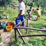 Farm Holidays La Baghera - La Baghera - Vegetable Garden
