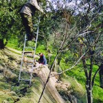 Farm Holidays La Baghera - La Baghera - Olives Picking