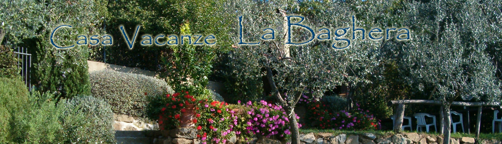 Farm Holidays "La Baghera" e "La Baghera Alta" In the Heart of Tuscany